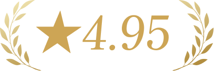 星4.95
