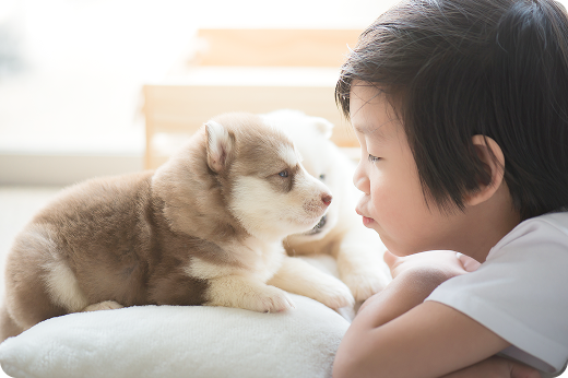 犬と子ども